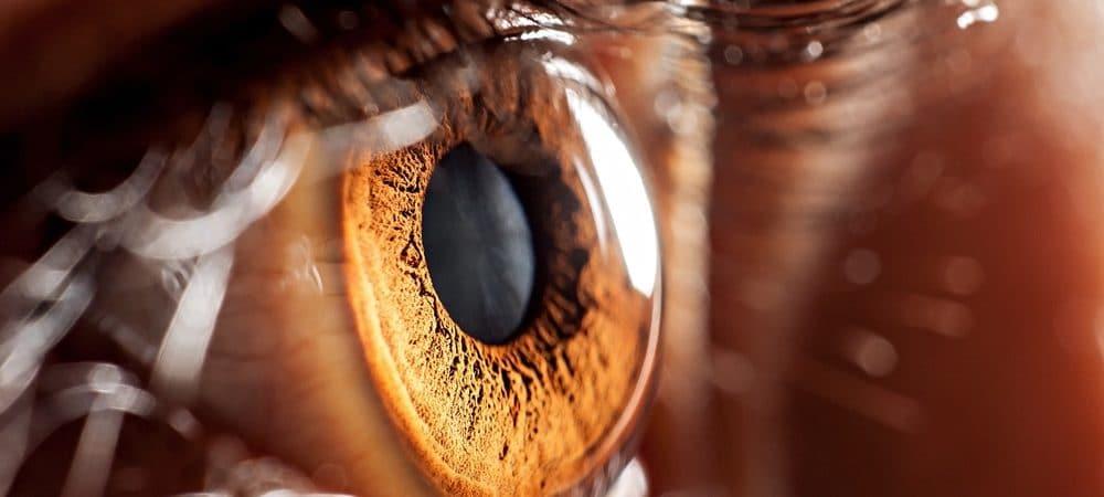 Cientistas criam camada ocular de pele de porco e restauram a visão de 14 pessoas