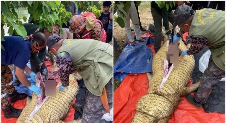 Restos mortais de homem desaparecido são recuperados de estômago de crocodilo