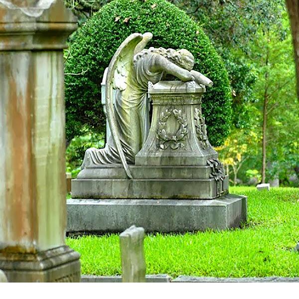 Dia dos Finados ou dos Fiéis Defuntos: o que é, como vivê-lo e como ganhar suas indulgências