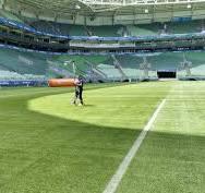 Allianz Parque é interditado por causa da condição do gramado sintético