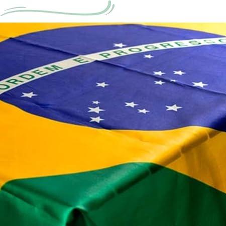 Especialistas preveem: Brasil pode entrar em falência em 2028!