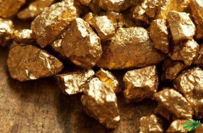 Grande jazida de ouro é encontrada debaixo da BR-226 na região de Currais Novos RN