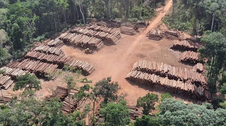 🔍🪵 Mega operação na Amazônia apreende milhares de caminhões com madeira e fecha várias serrarias