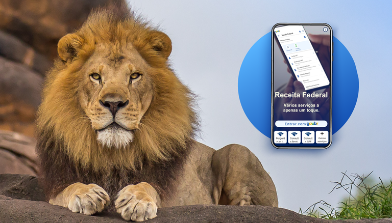 Prazo para entrega da declaração IR 2025 começa na próxima segunda (17)